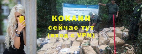 винт Армянск